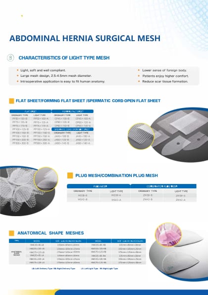 Mesh.pdf