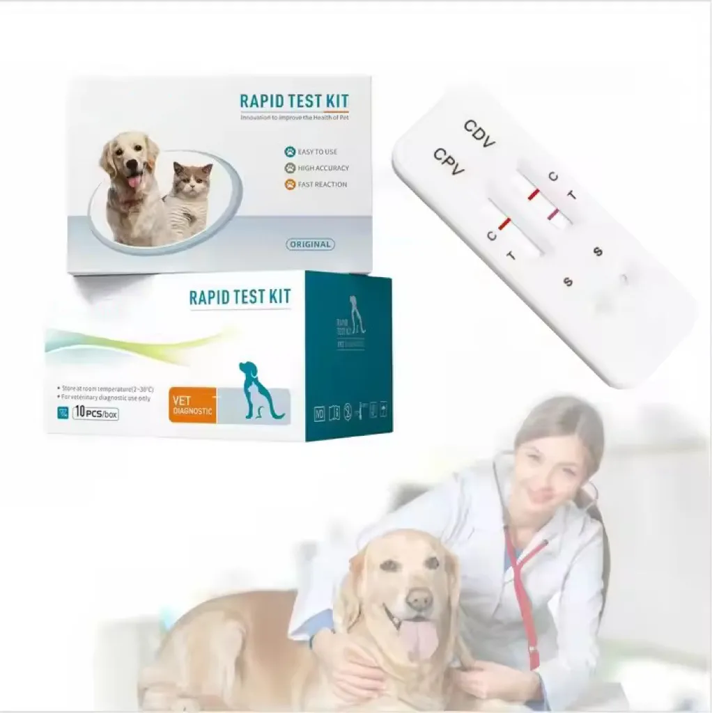 Canine CDV Ag Rapid Test Kit | Canine Distemper Virus Antigen/veterinary test Kits | Veterinary Clinic Diagnostic Strips 4