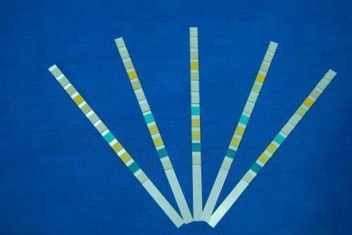URS-10T Urinalysis Reagent Test Paper 10 Parameters Urine Test Strips 3