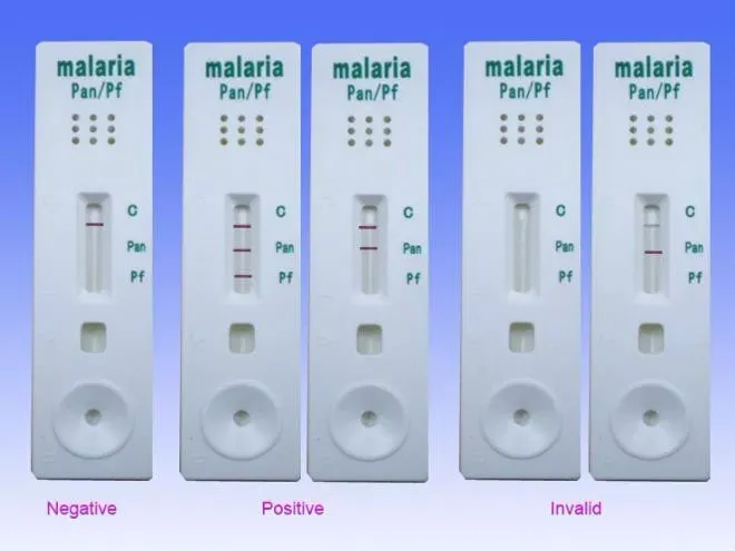 Malaria rapid diagnostic antigen test kit 6
