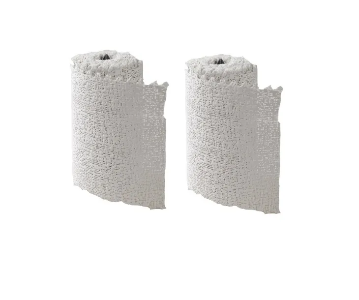 plaster of paris bandage