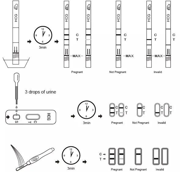 HCG Pregnant Test Strips Diagnostic Home Use Pregnancy Test 8