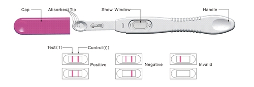 HCG Pregnant Test Strips Diagnostic Home Use Pregnancy Test 9